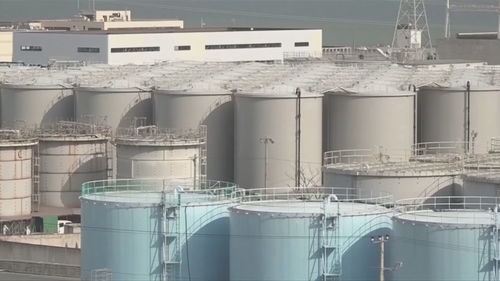 說好的熱愛環(huán)保呢 美日領導人只字未提福島核廢水