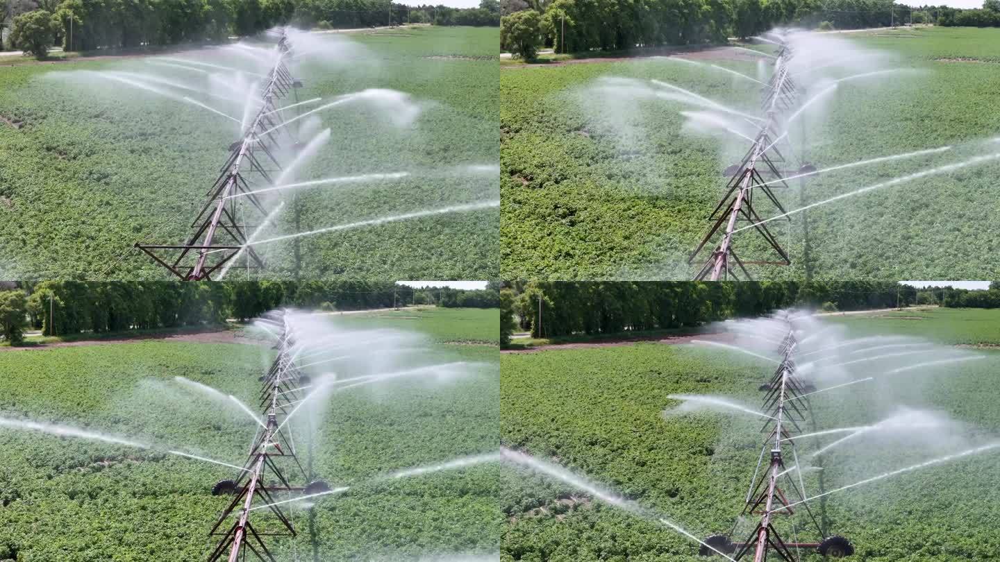 威斯康辛州中部的一片農田正在用灑水系統進行灌溉。